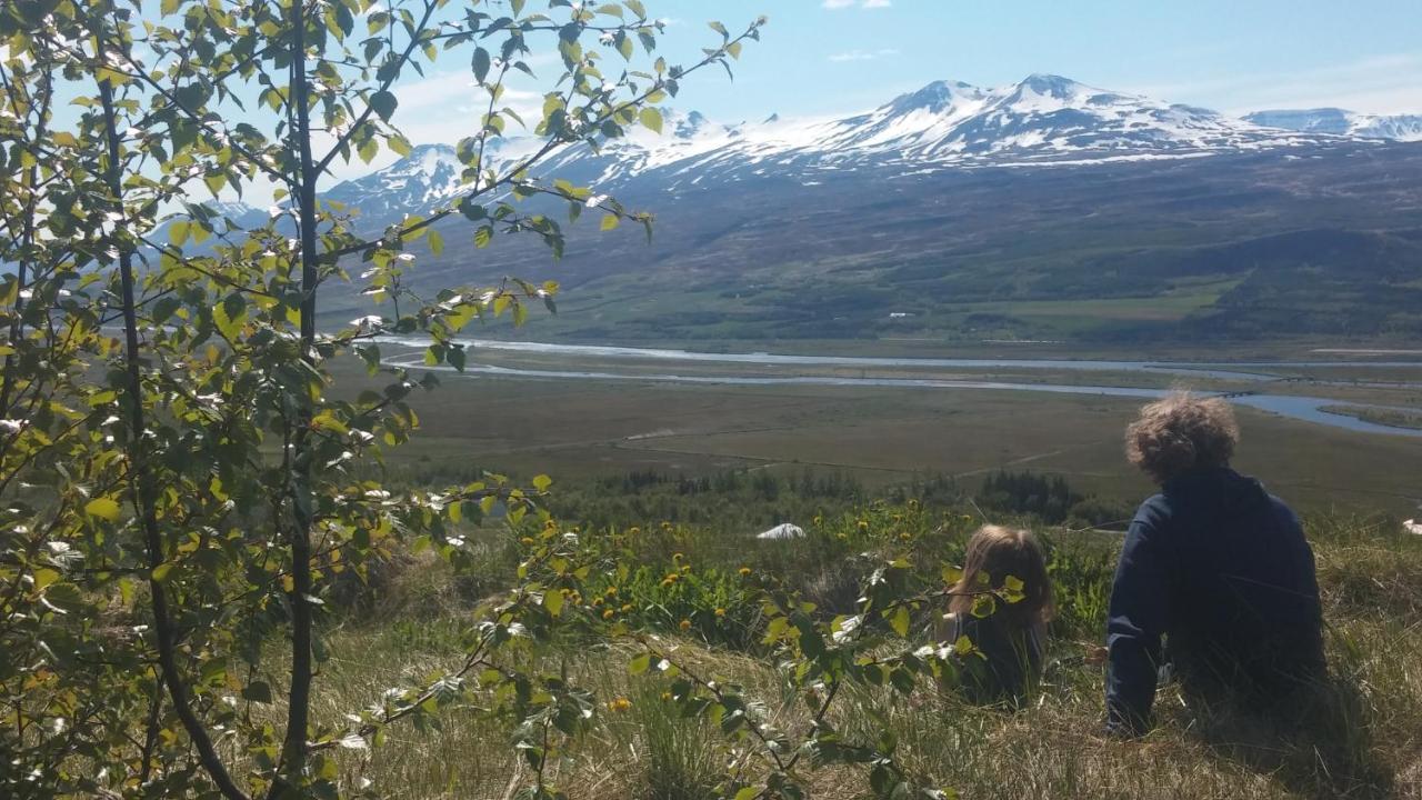 Iceland Yurt 아퀴레이리 외부 사진