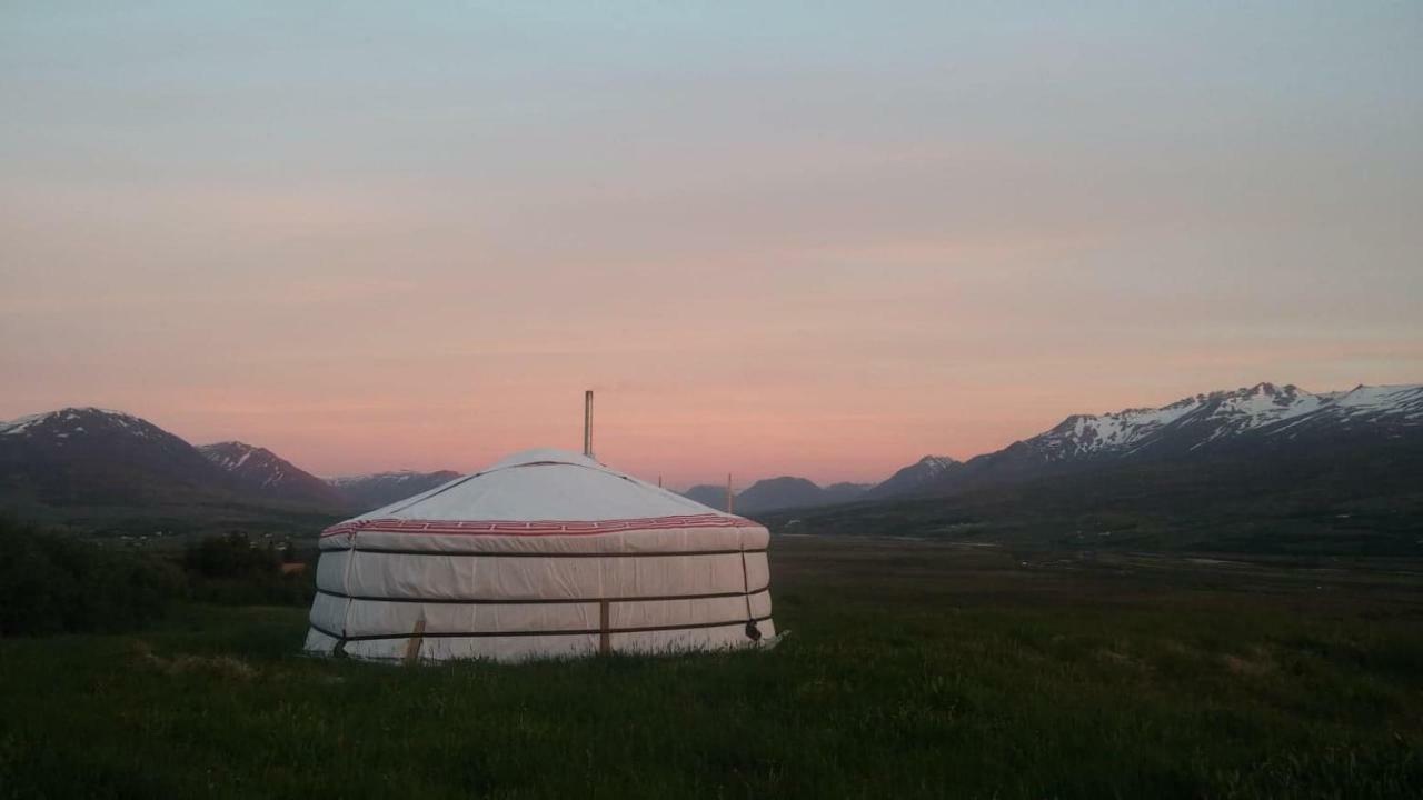 Iceland Yurt 아퀴레이리 외부 사진